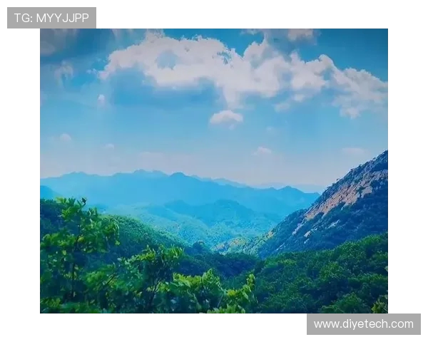 攀岩人生的高峰与低谷陈磊分享他的攀岩旅程与心路历程